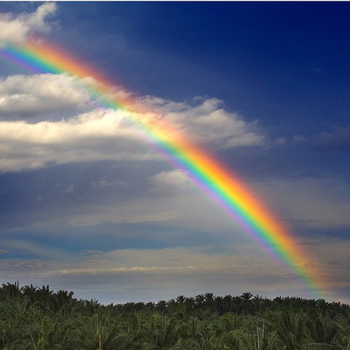 Photo:  rainbow 7